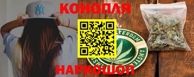 крисы Ставрополь