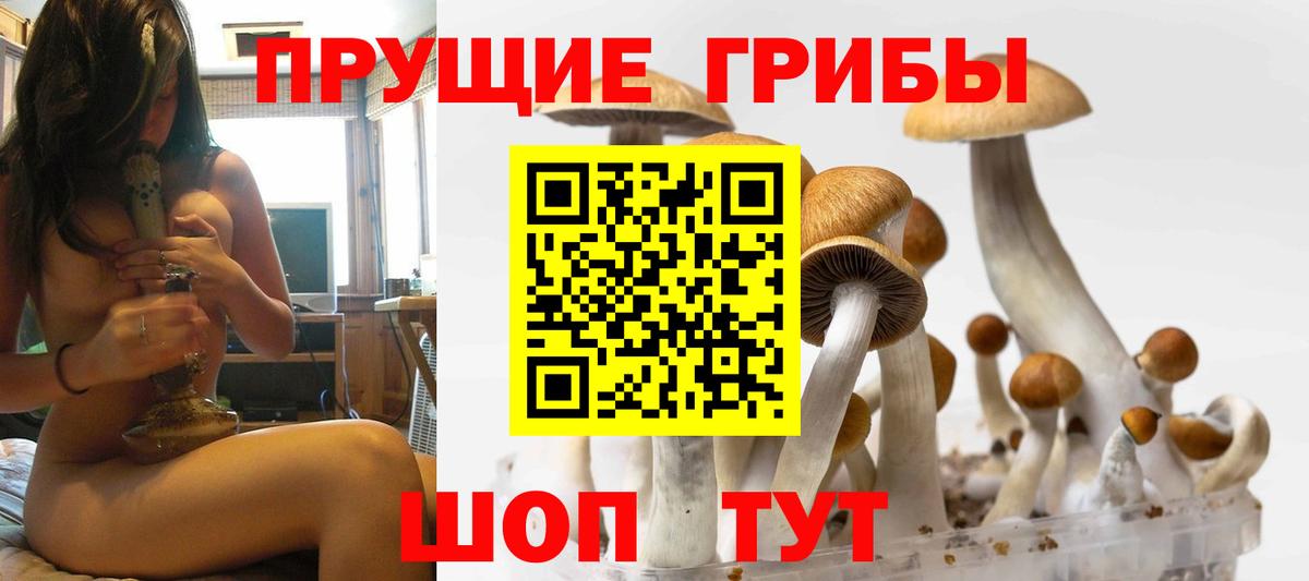 Псилоцибиновые грибы прущие грибы  Галлюциногенные грибы ЛСД  Вход с VPN  Артёмовский 