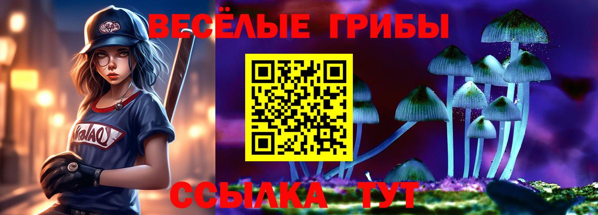Псилоцибиновые грибы GOLDEN TEACHER Артёмовский